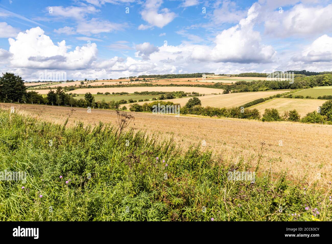 Un paesaggio aperto e ondulato del Cotswold di campi raccolti nel mese di agosto vicino alla frazione di Hampen, Gloucestershire UK Foto Stock