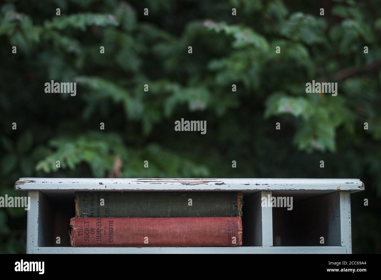 Coppia di libri d'epoca su un tavolo bianco vintage con sfondo verde sfocato Foto Stock