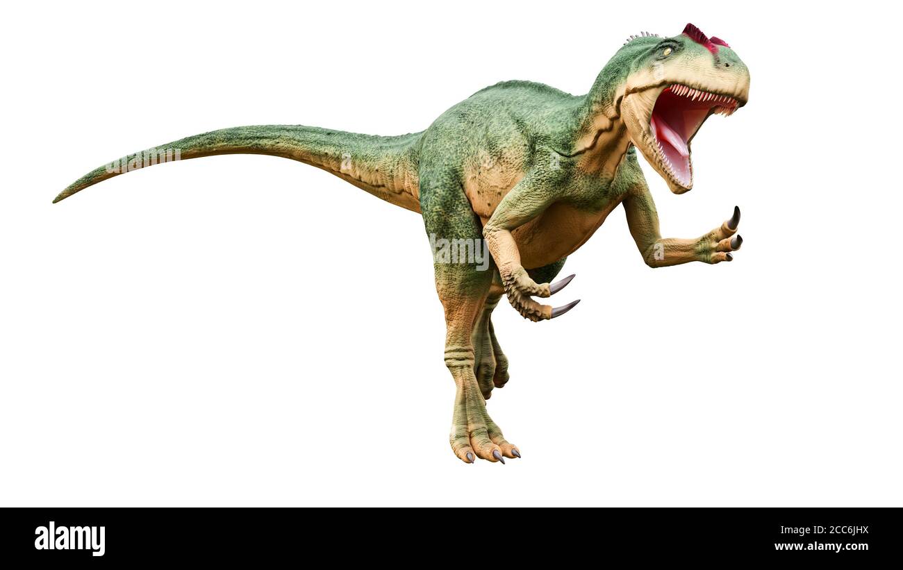 Allosaurus fragilis con attacco o posa aggressiva isolato su sfondo bianco. Ricostituzione realistica e scientifica dei dinosauri. Illusione nel rendering 3D Foto Stock
