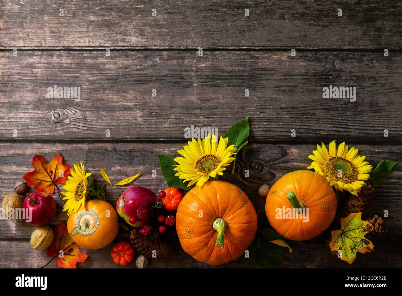 Felice sfondo del Ringraziamento. Zucche, girasoli, mele e foglie cadute. Vista dall'alto in piano. Spazio di copia. Foto Stock