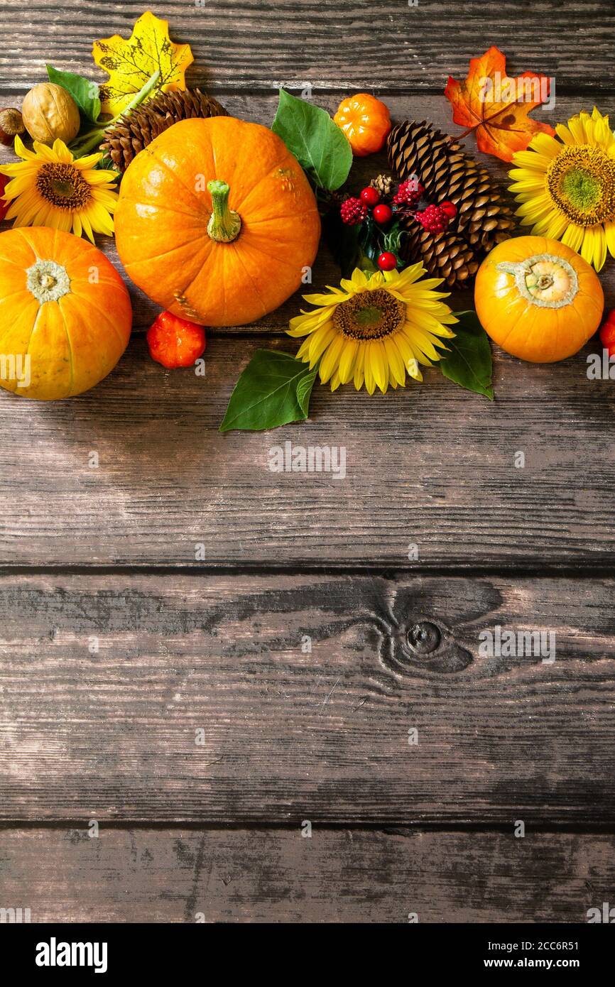 Autunno sfondo, tavolo del Ringraziamento. Zucche, girasoli, mele e foglie cadute. Vista dall'alto in piano. Spazio di copia. Foto Stock
