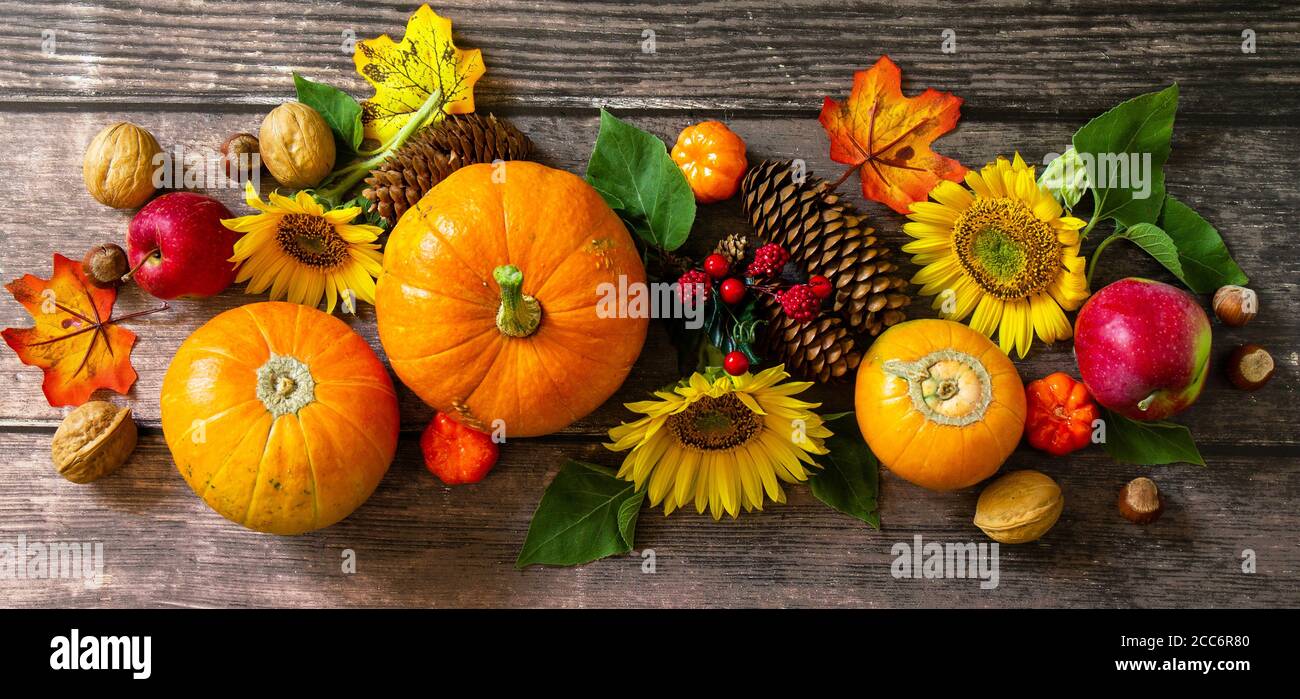 Autunno sfondo, tavolo del Ringraziamento. Zucche, girasoli, mele e foglie cadute. Banner. Foto Stock