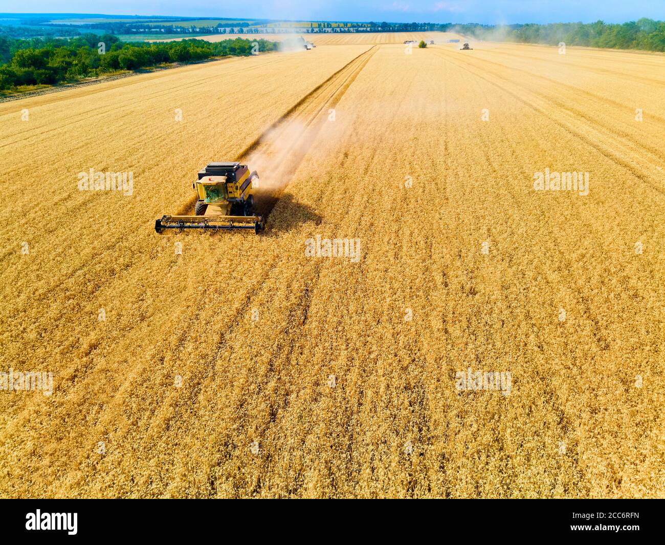 Vista aerea dei droni: Mietitrebbia che lavorano nel campo del grano al tramonto. Il conducente della macchina da raccolta taglia il prodotto in terreni agricoli. Agricoltura biologica Foto Stock