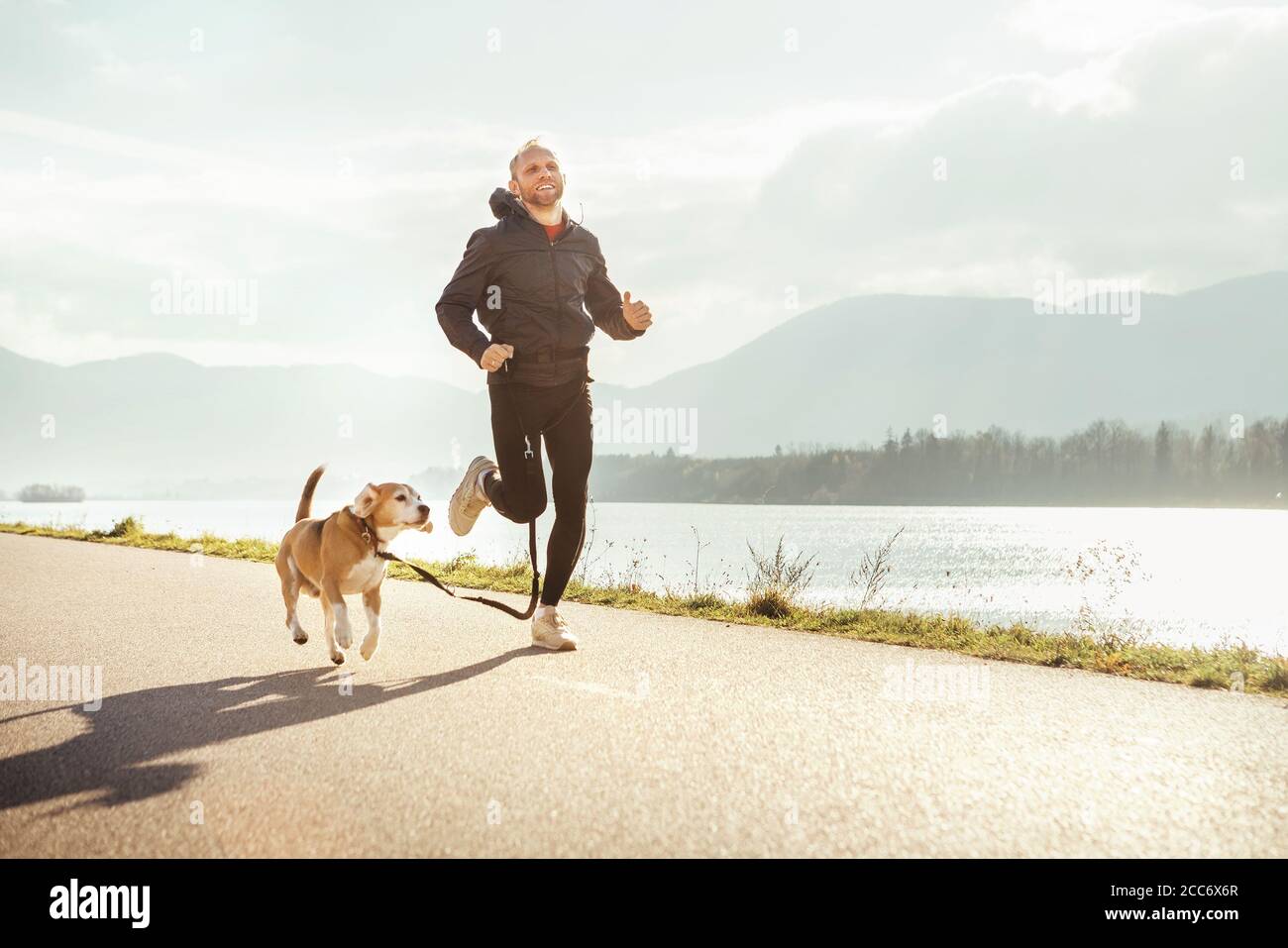 Mattina jogging con animale domestico: L'uomo corre con il suo cane beagle Foto Stock