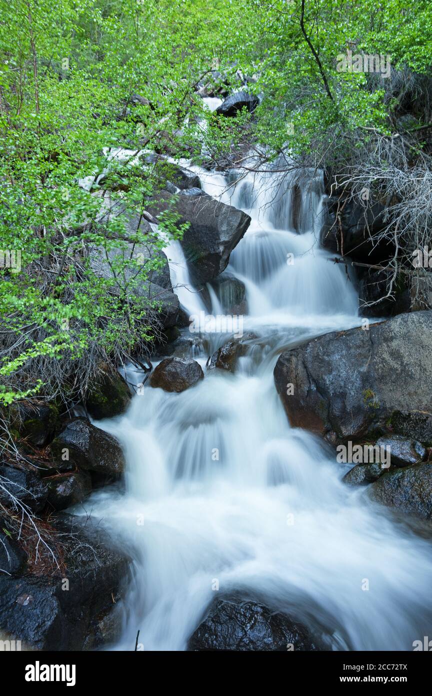 ruscello di montagna con acqua setosa e liscia che rotola sopra le rocce Foto Stock