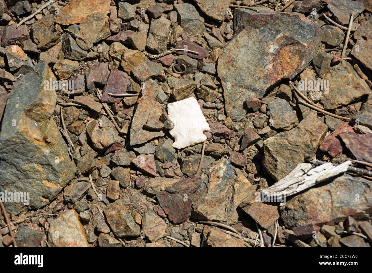 freccia di chert bianca rotta su terreno roccioso Foto Stock