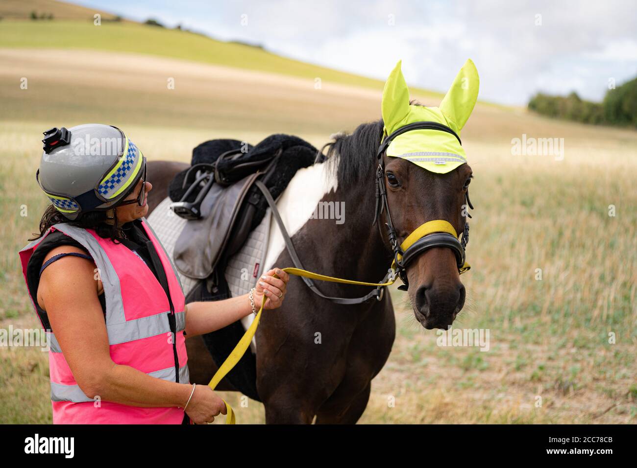 Cavallo di polizia e ufficiale in equipaggiamento ad alta visibilità nella campagna del Sussex Foto Stock