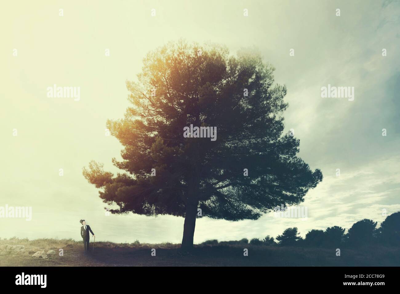 Momento surreale di un uomo elegante che guarda stupito a. albero enorme Foto Stock