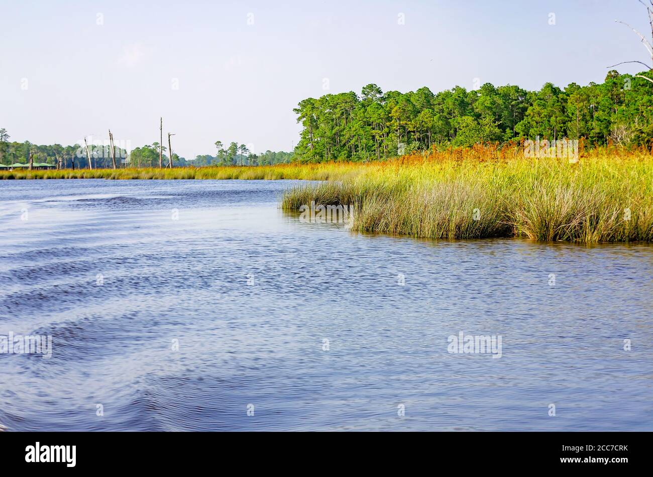 Una scia segue una barca a pontile mentre viaggia lungo il fiume Fowl, 6 luglio 2019, a Coden, Alabama. Foto Stock