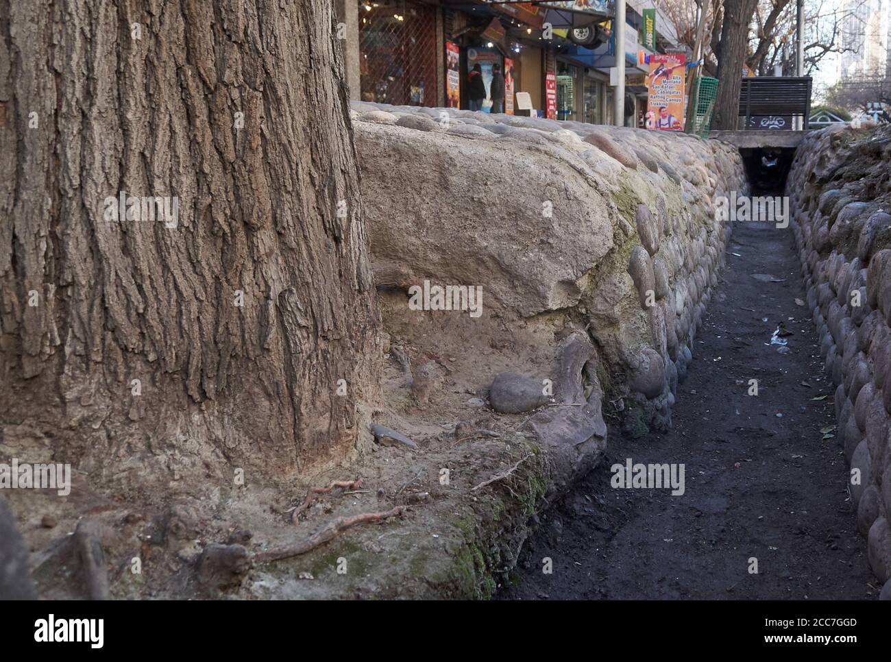 MENDOZA, ARGENTINA, 10 giugno 2015. Fosso di irrigazione, sistema di irrigazione sulle strade della città, Città, Città di Mendoza. Foto: Axel Lloret www.allofotografia.com Foto Stock