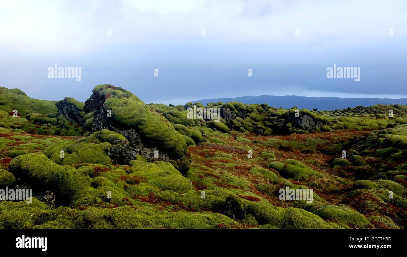 Eldhraun Lava campo del sud Islanda Foto Stock