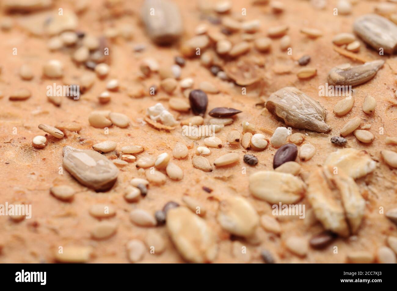 Primo piano estremo di pane crosta con semi, punto di messa a fuoco stretto Foto Stock