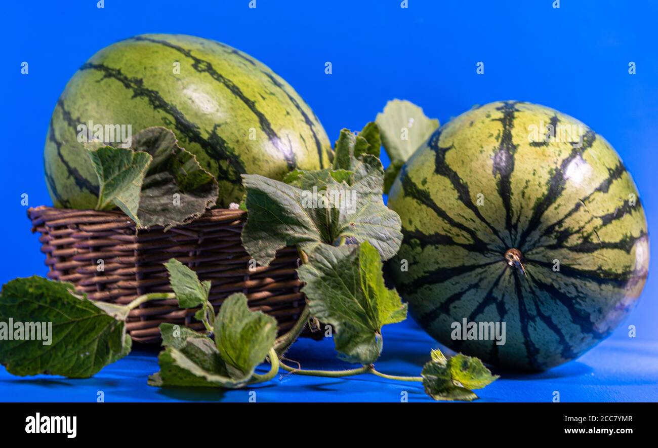 Frutta di cocomero (Citrullus lanatus). Frutti tropicali. Frutta grande e più o meno sferica, che viene consumata cruda come dessert. La polpa è reddis Foto Stock