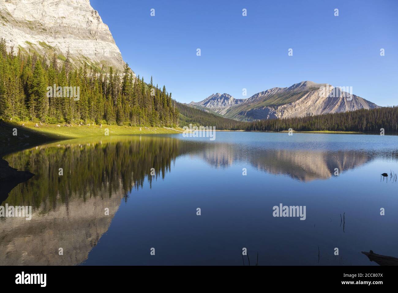 Simmetria nella natura, riflesso di Mountain Peaks, acqua calma, paesaggio alpino, lago nascosto. Escursione in campagna a Kananaskis, Alberta Canada Foto Stock