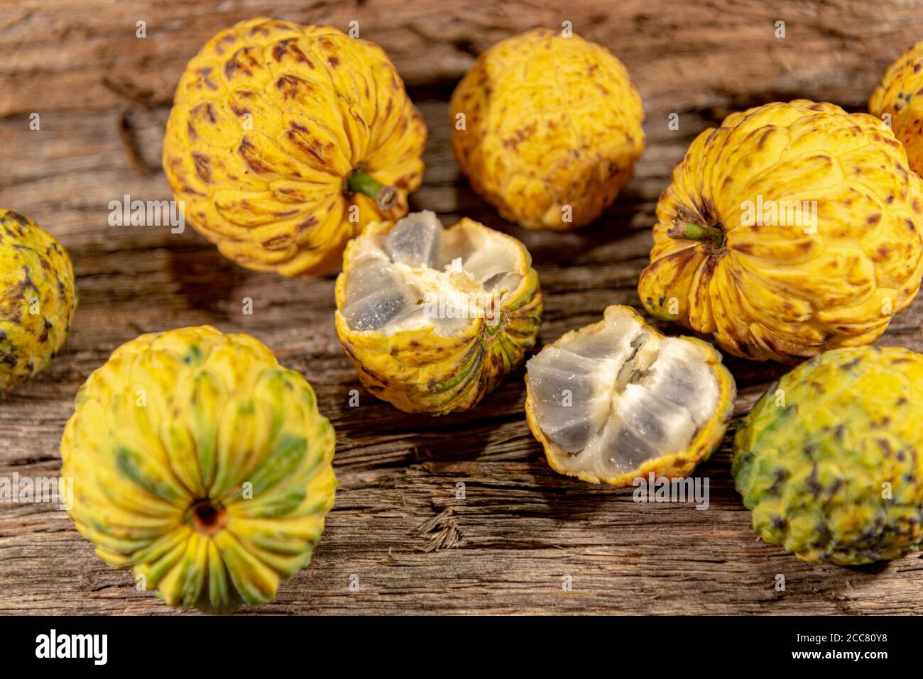 Frutto della crassiflora Annona. L'araticum è un frutto del brasiliano Cerrado, è carnoso e può pesare fino a due chili. Molto simile a. Foto Stock