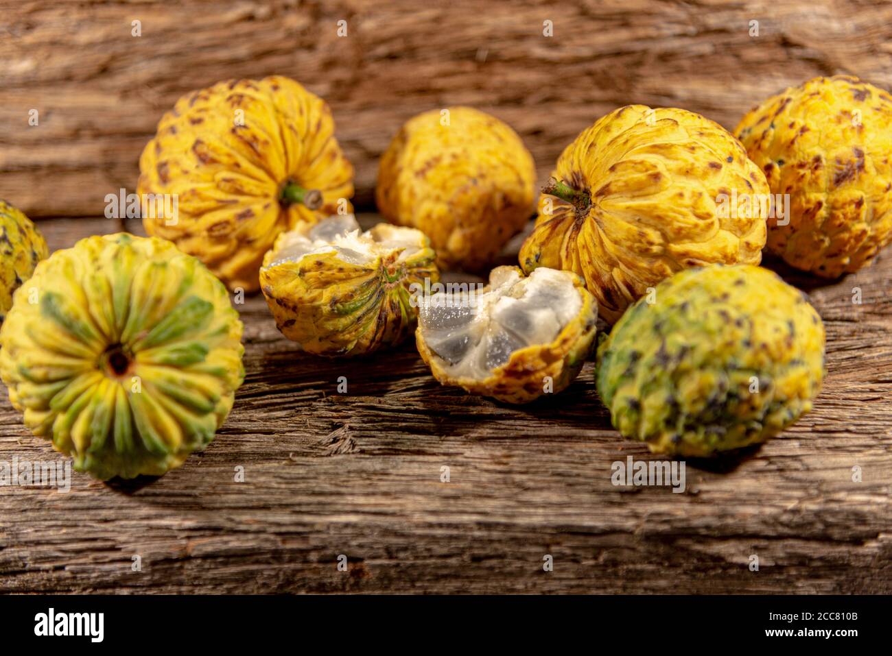 Frutto della crassiflora Annona. L'araticum è un frutto del brasiliano Cerrado, è carnoso e può pesare fino a due chili. Molto simile a. Foto Stock