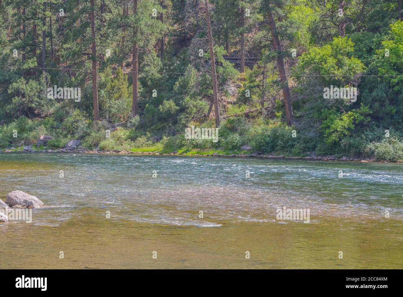 Il meraviglioso fiume verde cinto da mura che scorre attraverso la Flaming Gorge National Recreation Area di Ashley National Forest, Utah Foto Stock