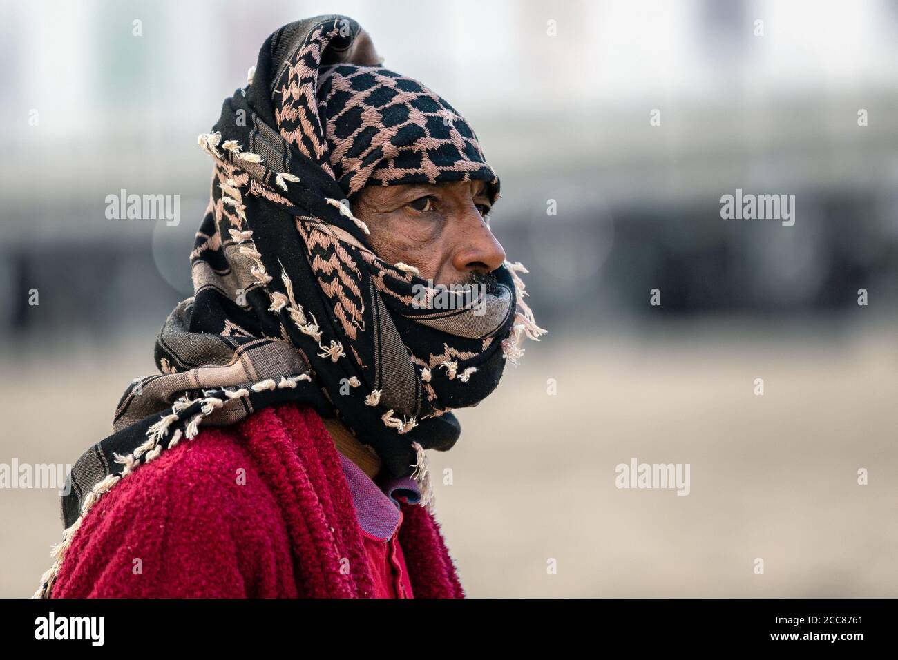 Tribù Saudita nel tradizionale safari nel deserto in abqaiq Arabia Saudita. Foto Stock
