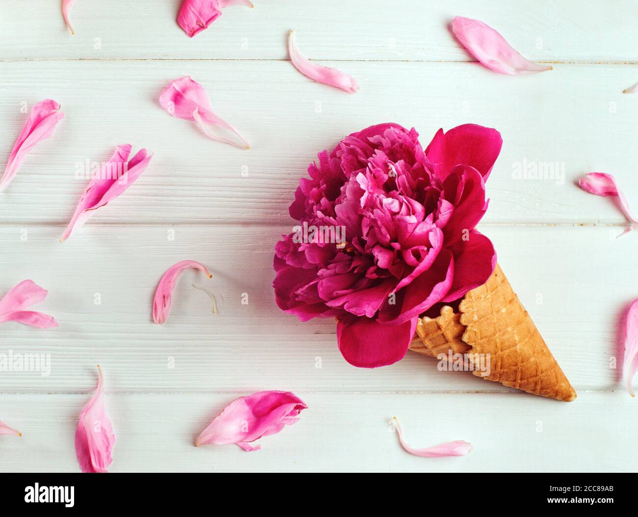 Cono di cialda di gelato con fiori di peonia e petali Foto Stock