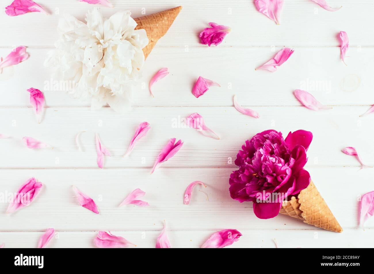 Coni di cialde per gelato con fiori di peonia Foto Stock