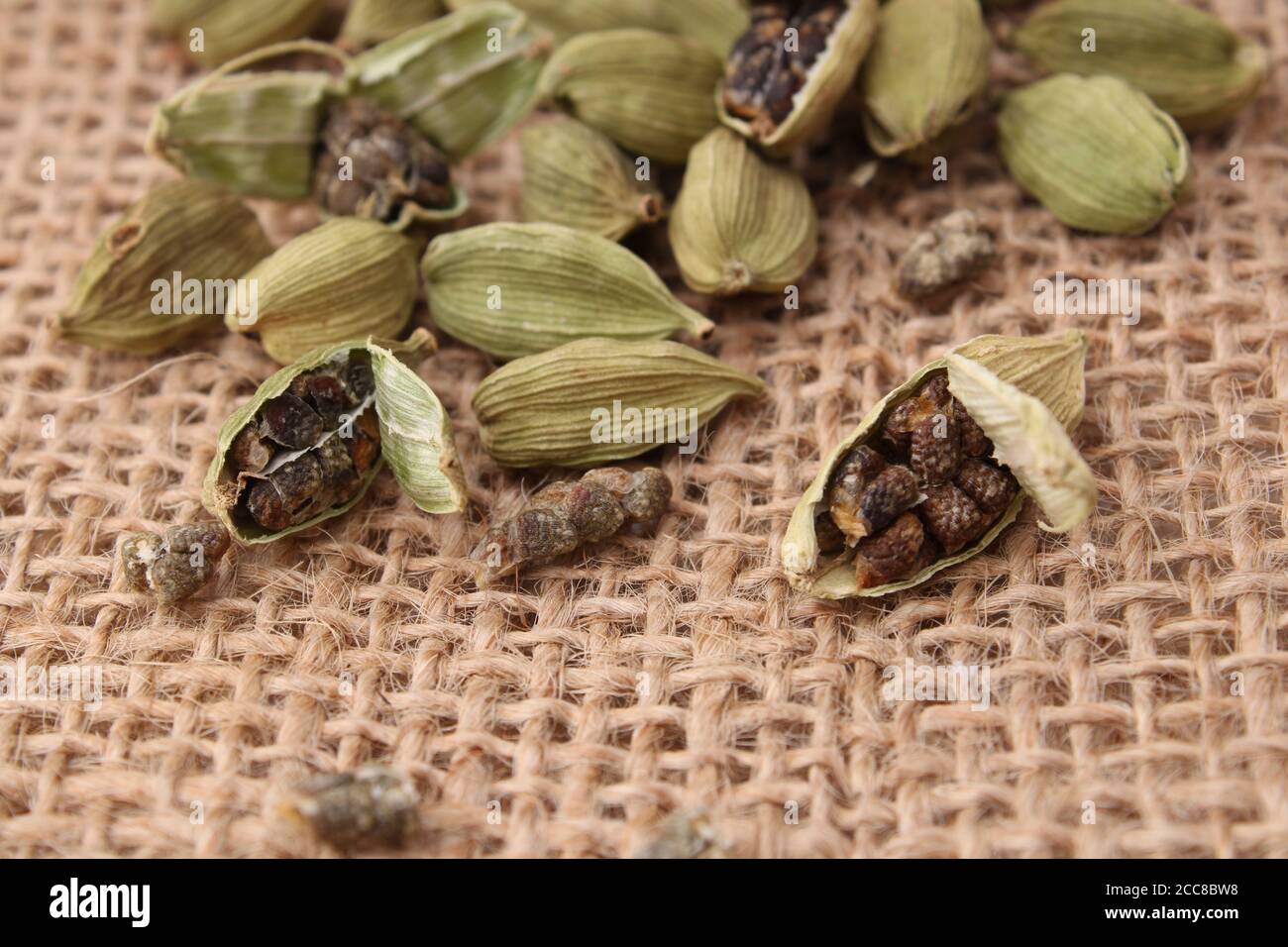 cardamomo verde profumato su sfondo di iuta. Foto Stock