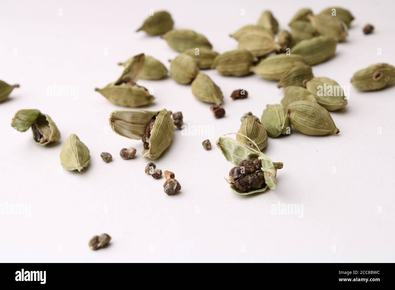 cardamomo verde profumato su sfondo bianco Foto Stock