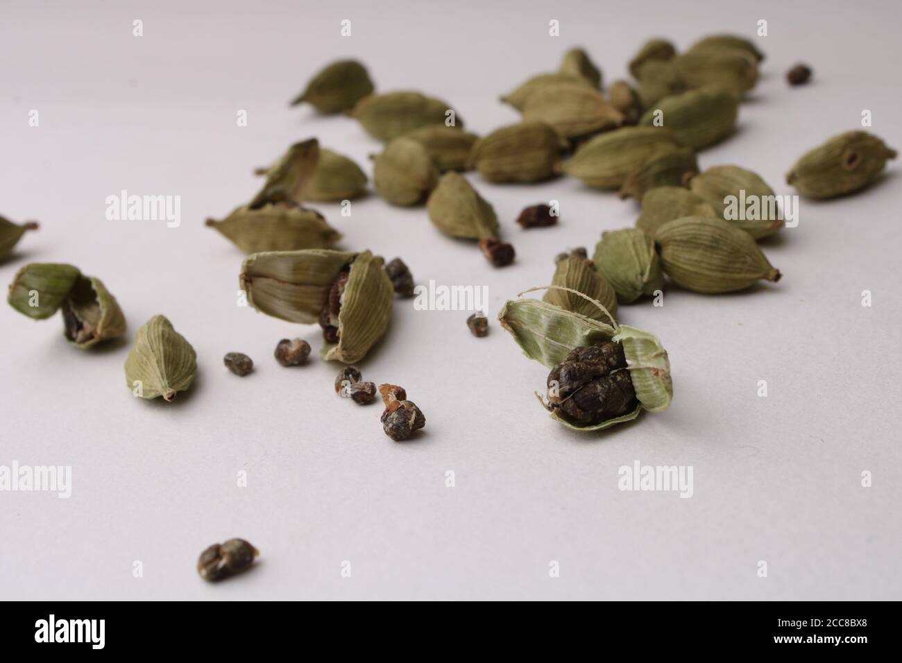 cardamomo verde profumato su sfondo bianco Foto Stock