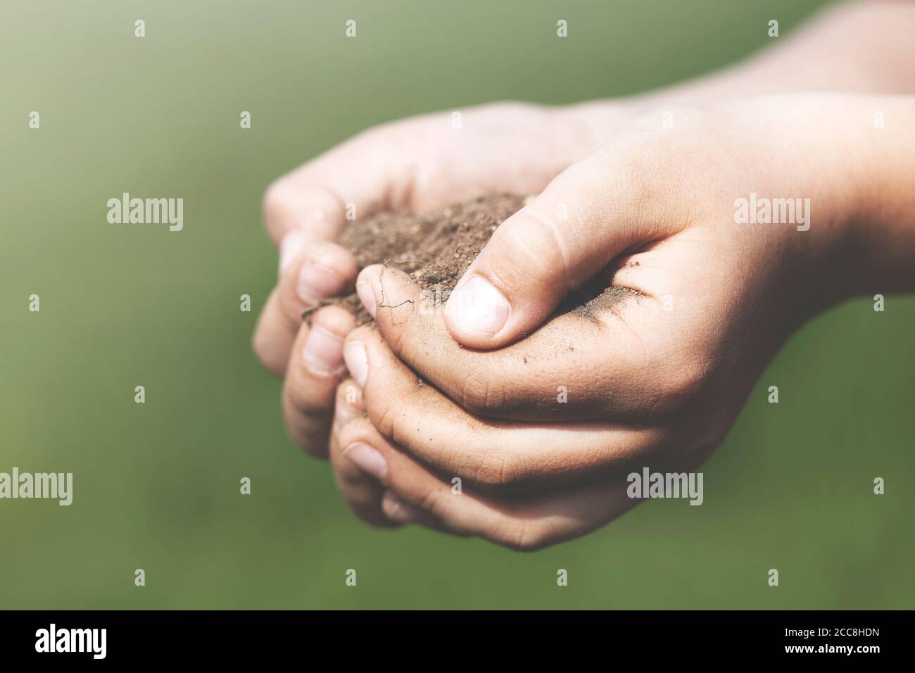 primo piano sulle mani di un bambino che prende cura della sua terra Foto Stock