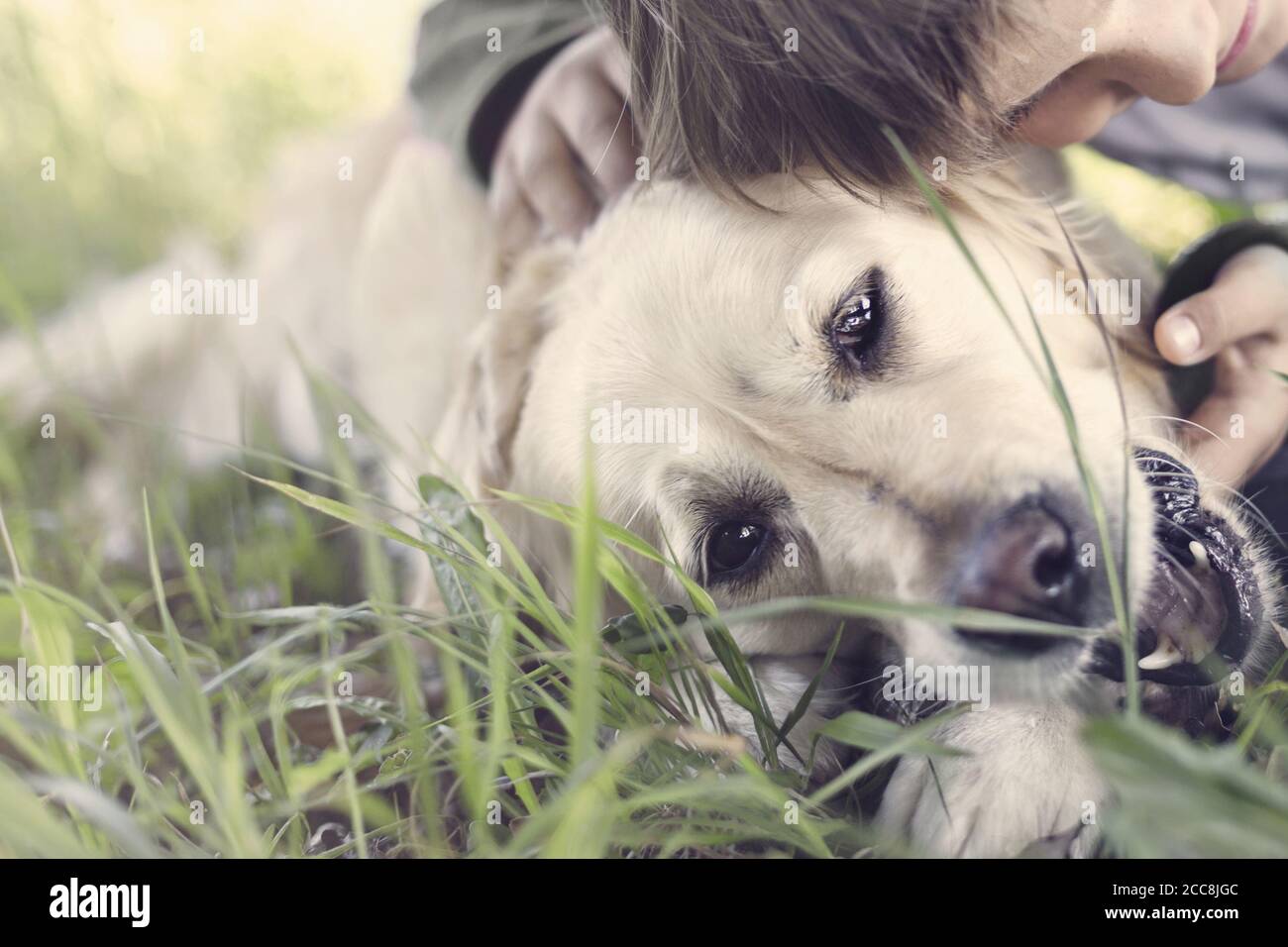 Ragazzino abbracciando dolcemente il suo cane Foto Stock