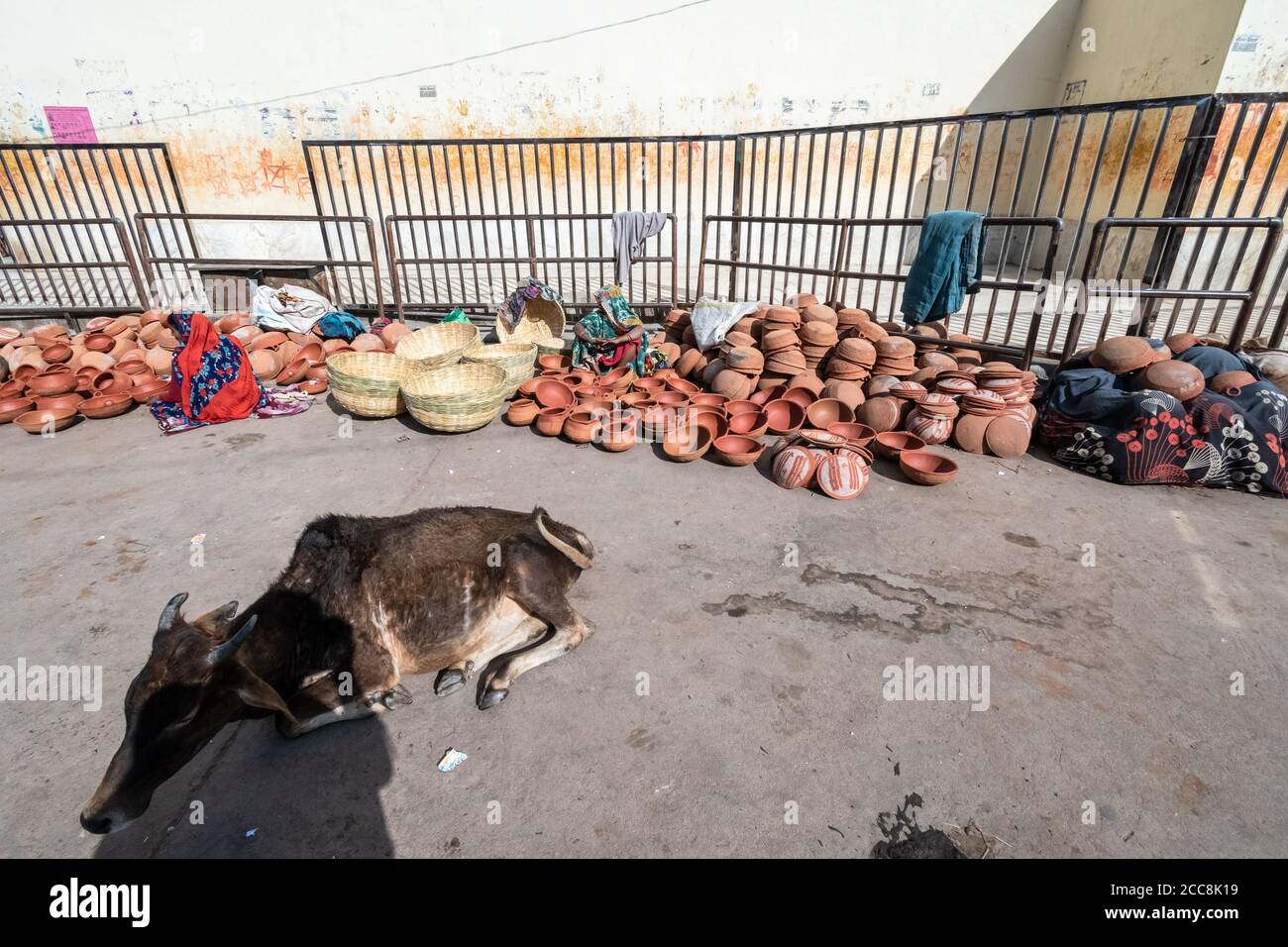 Orchha, Madhya Pradesh, India - Marzo 2019: Una mucca seduta di fronte ad un negozio di strada che vende pentole di argilla e utensili nel villaggio di Orchha. Foto Stock