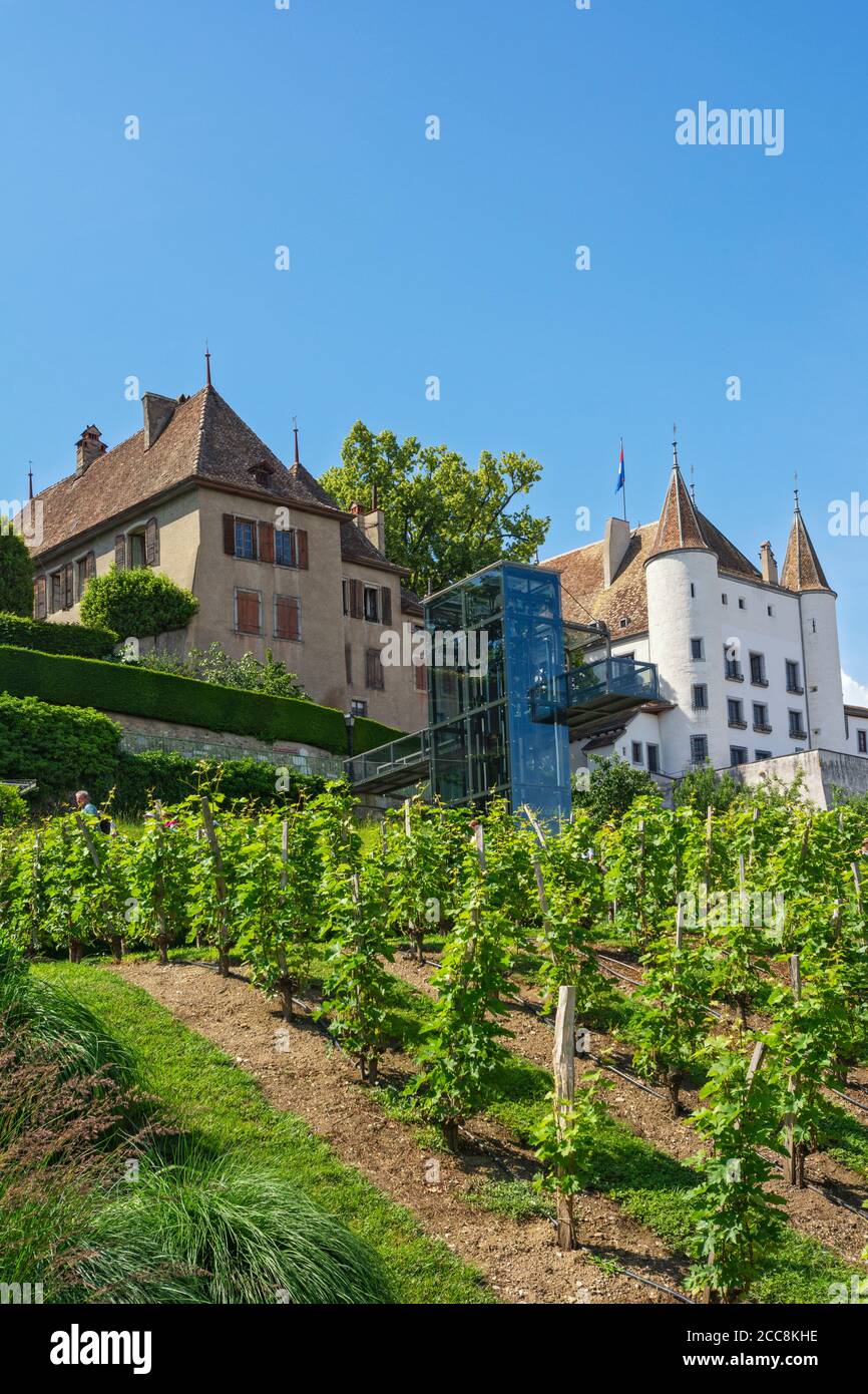 Svizzera, Canton Vaud, Nyon, Quartier de Rive, vista attraverso il vigneto per ascensore fino al castello Foto Stock