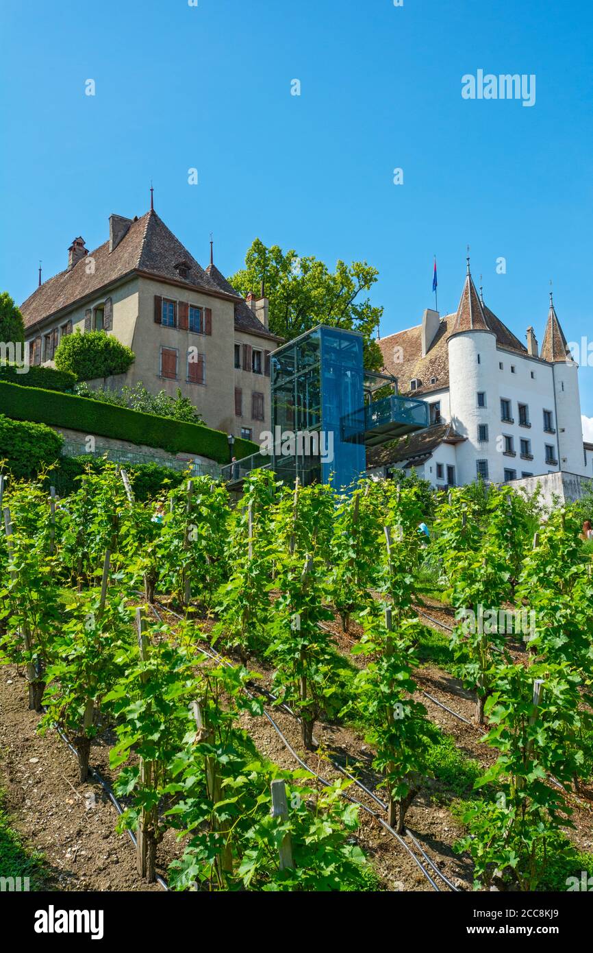 Svizzera, Canton Vaud, Nyon, Quartier de Rive, vista attraverso il vigneto per ascensore fino al castello Foto Stock