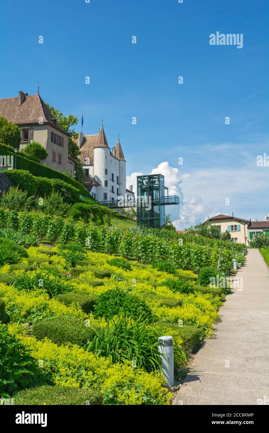 Svizzera, Canton Vaud, Nyon, Quartier de Rive, vista attraverso il vigneto per ascensore fino al castello Foto Stock
