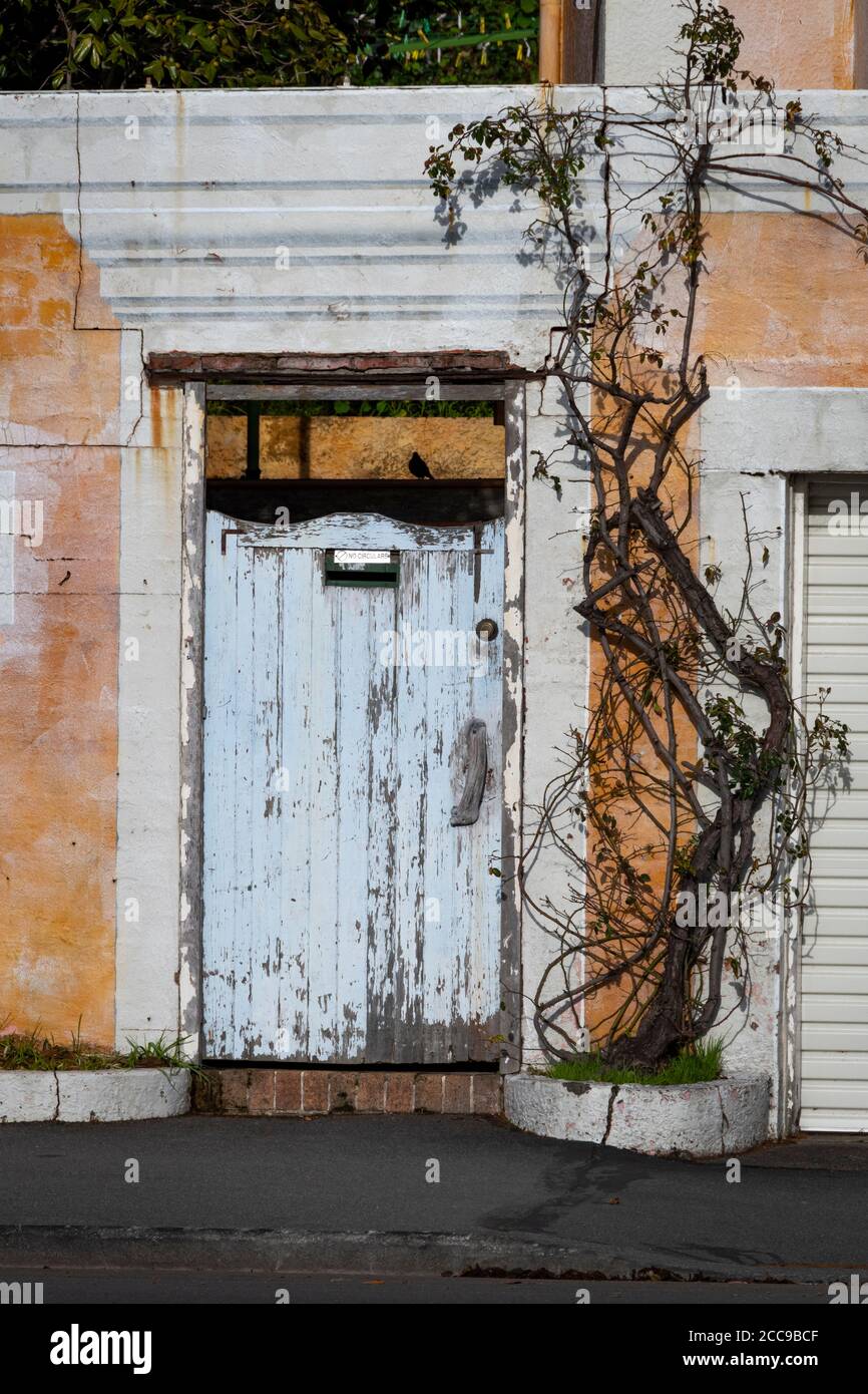 Parete dipinta di arancio sbiadito e porta blu, Oriental Bay, Wellington, Isola del Nord, Nuova Zelanda Foto Stock