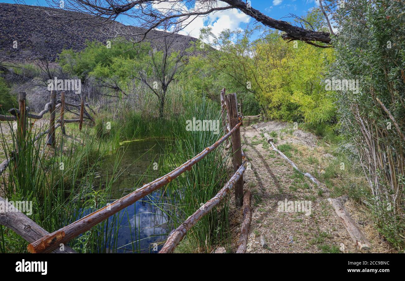 SHOSHONE, CALIFORNIA, STATI UNITI - 20 marzo 2019: Un sentiero segue lungo il torrente di sorgente Shoshone, che ospita il pupfish Shoshone in via di estinzione. Foto Stock