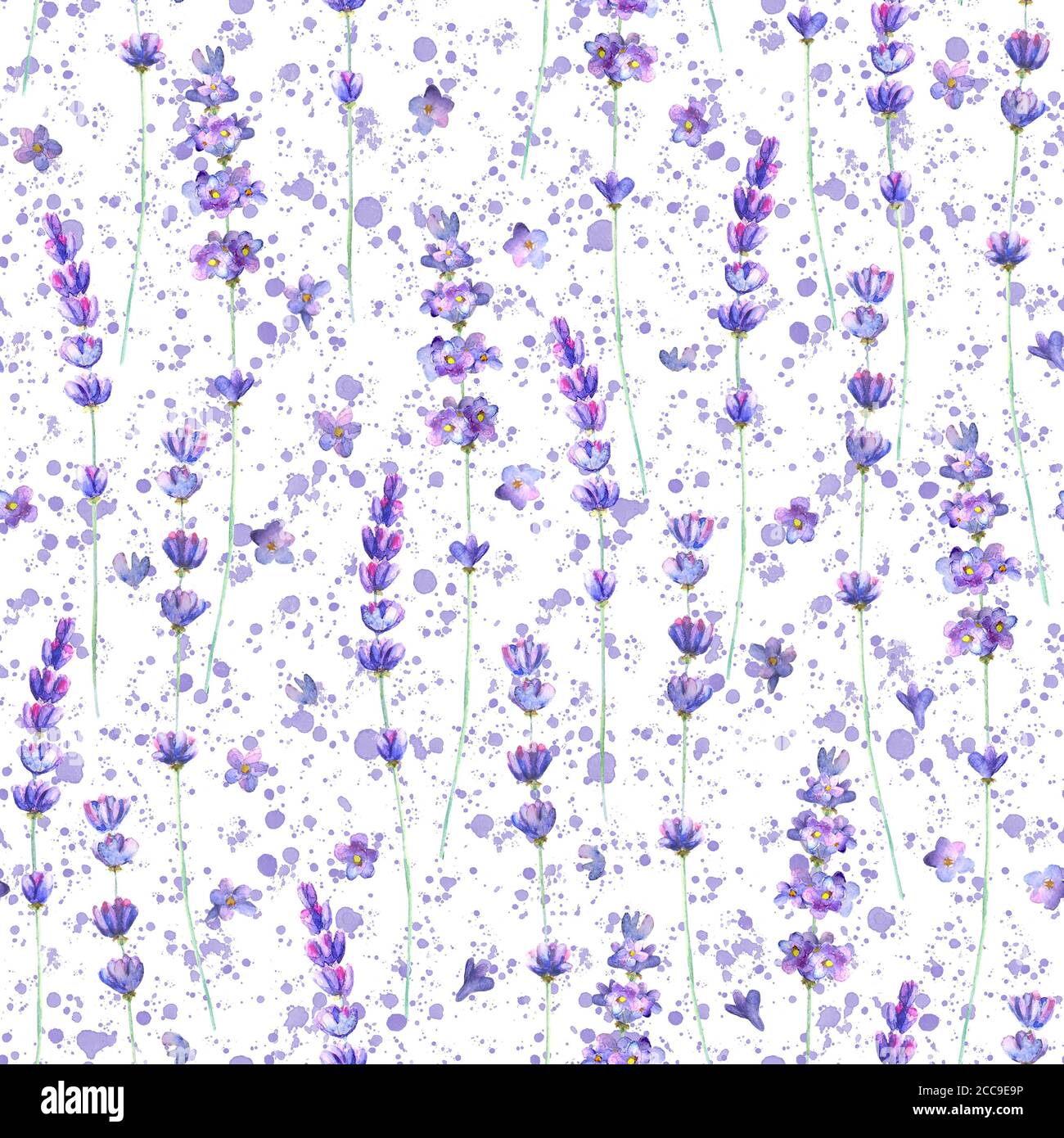Fiori di lavanda e spruzzi viola acquerello motivo senza cuciture su sfondo bianco. Acquerello disegno mano texture botanica illustrazione. Stampa per Foto Stock