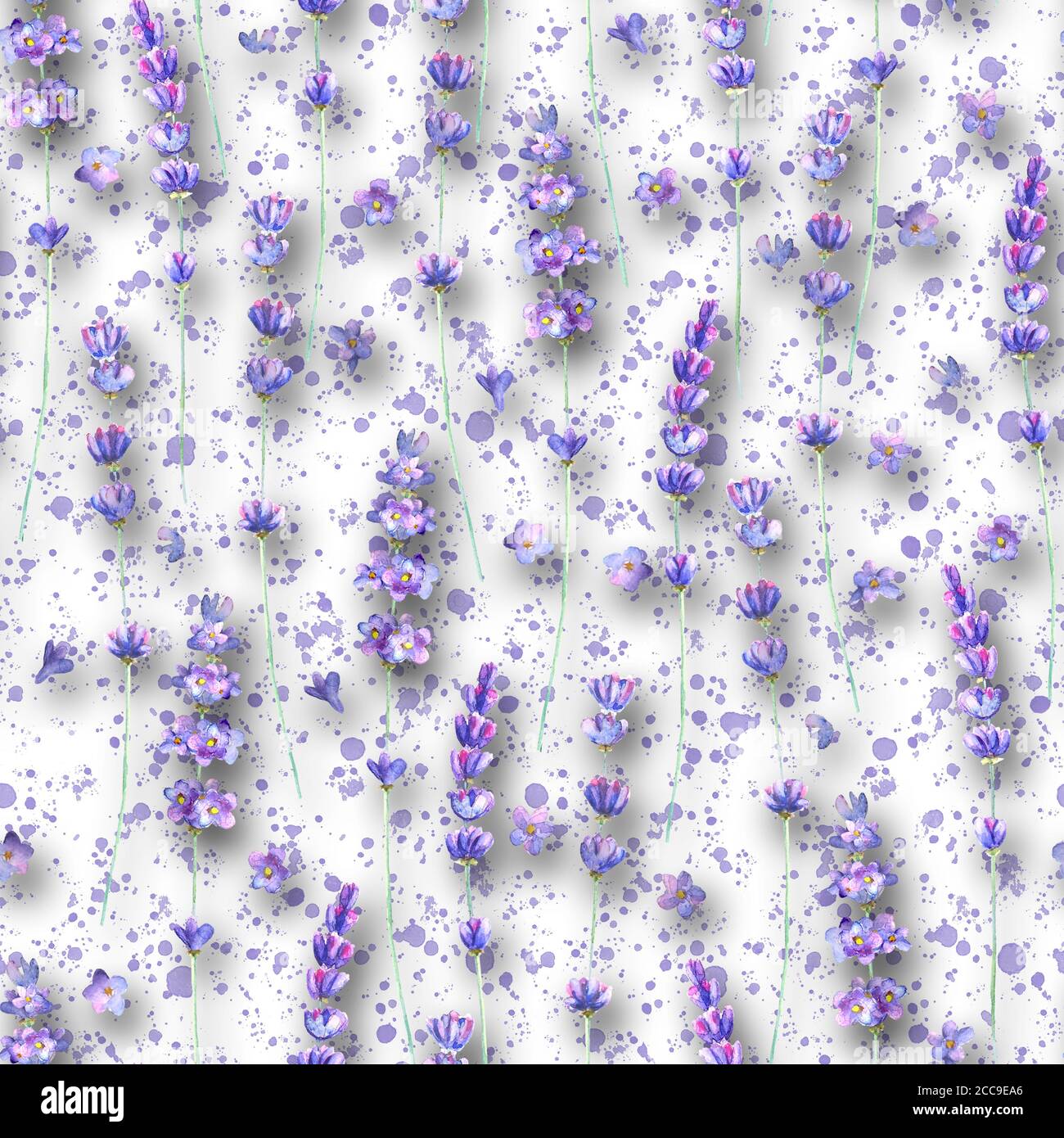 Fiori di lavanda e spruzzi viola acquerello motivo senza cuciture su sfondo bianco. Illustrazione disegnata a mano con acquerello. Stampa per tessuto, wallpape Foto Stock
