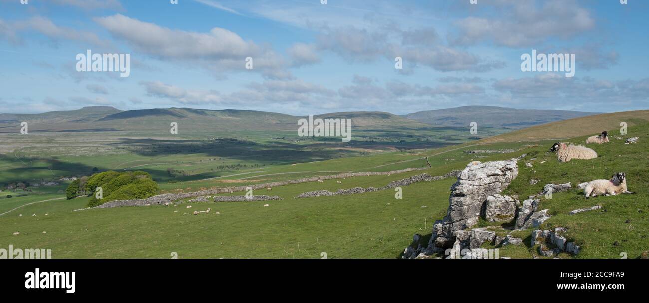 Vista panoramica di Inglebrough, Simon Fell, Park Fell e Whernside dalle pendici di Pen-y-Ghent nelle valli dello Yorkshire Foto Stock