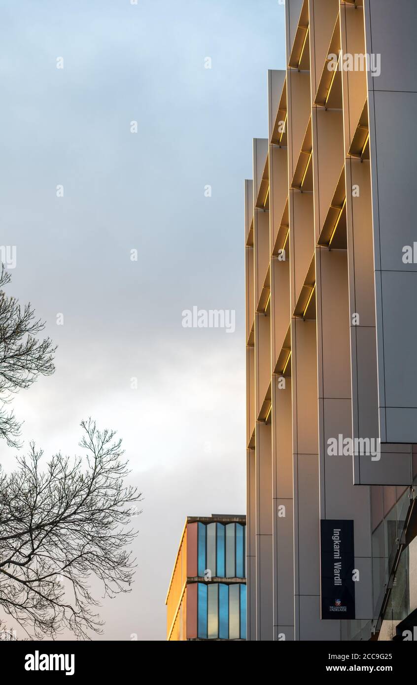 Edifici Ingkarni Wardli & Bragg all'Università di Adelaide Al tramonto Foto Stock