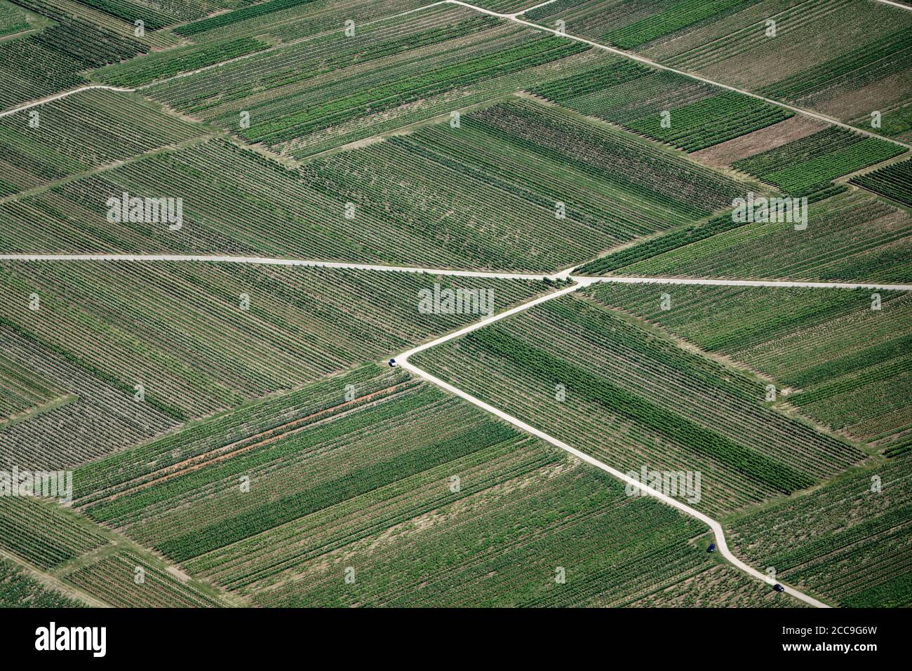 Come un dipinto astratto, ma la foto mostra i vigneti nella Valle del Reno. Le corsie di fattoria stanno tagliando i lotti di terra, dove le automobili dei enologi parco Foto Stock