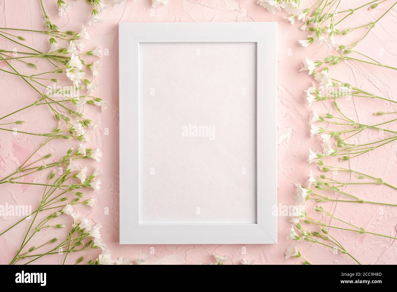 Bianco mockup cornice vuota foto con mouse-orecchio fiori di ceci su sfondo rosa textured, vista dall'alto spazio copia Foto Stock