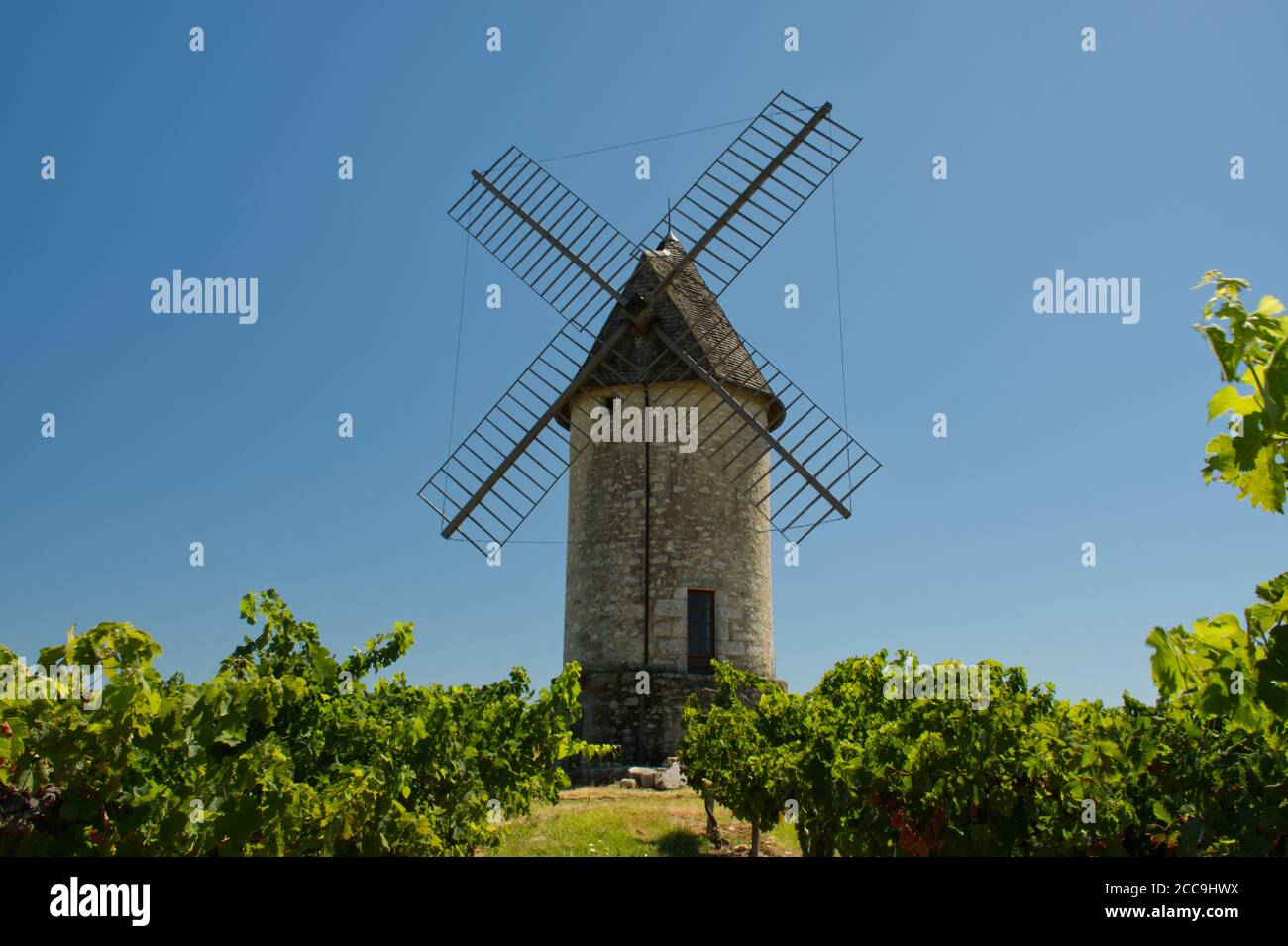 Antico mulino a vento nel vigneto di Villeneuve-de-Duras, Lot-et-garonne, Francia Foto Stock