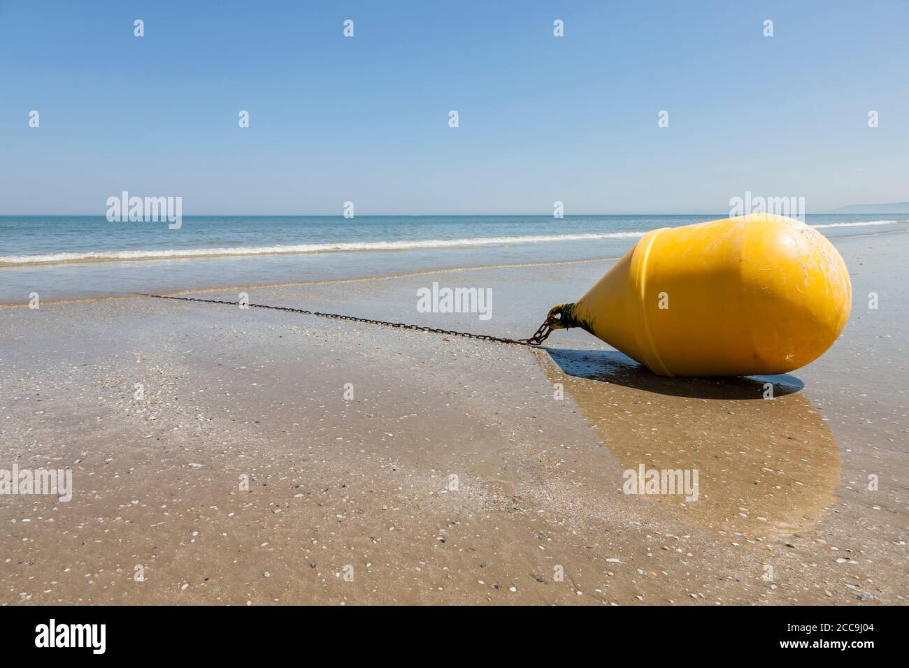 Grande boa gialla che giace sulla spiaggia di Deauville a. marea di ebb Foto Stock
