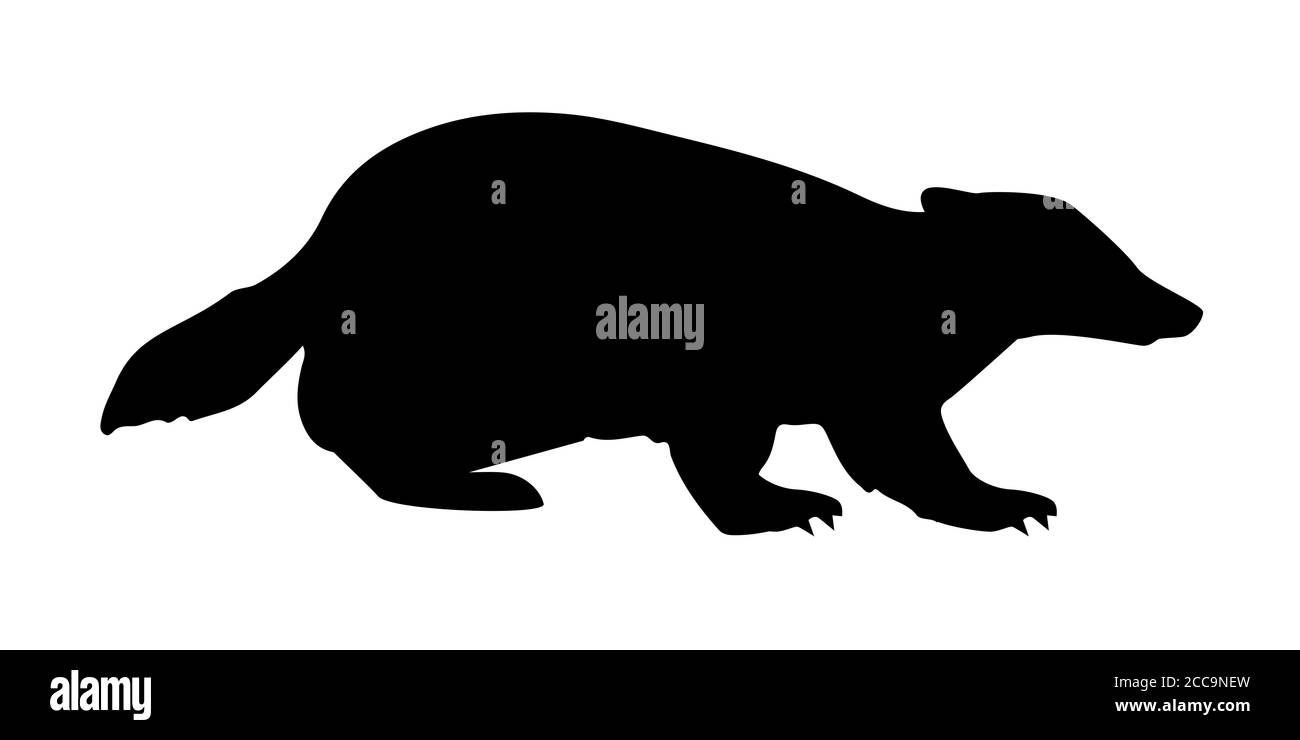 Silhouette di un badge su sfondo bianco Foto Stock