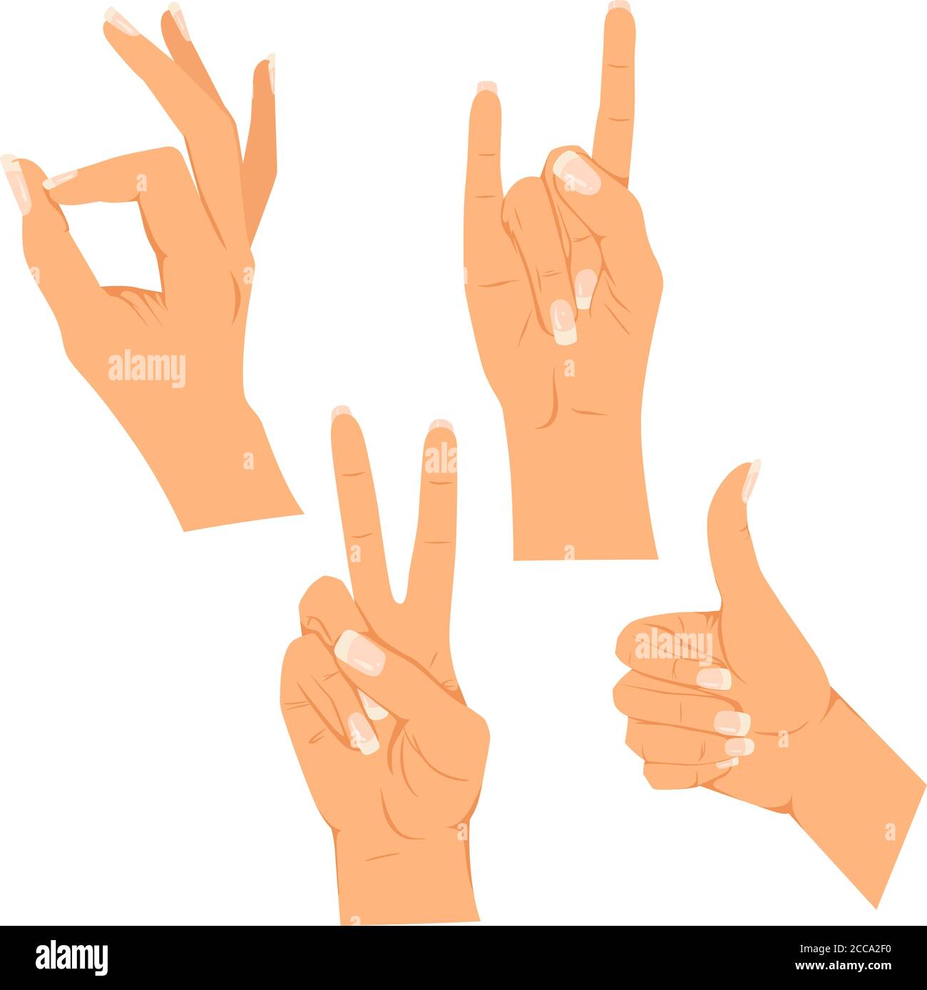 Illustrazione vettoriale di una mano femminile con unghie lunghe. Vari gesti. Impostare isolato su uno sfondo bianco Illustrazione Vettoriale