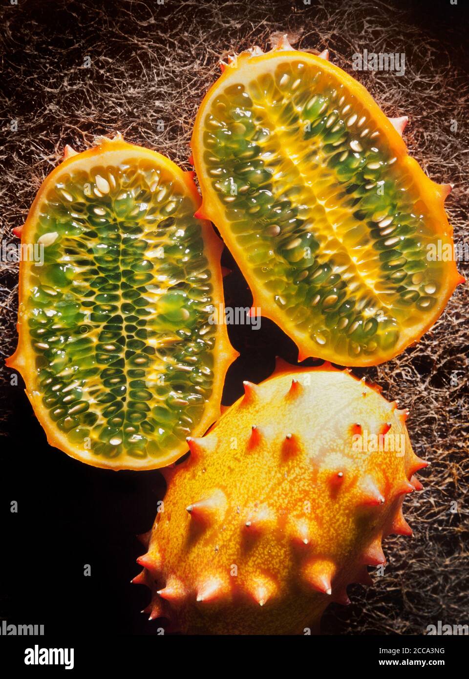 Cucumis metuliferus, comunemente chiamato il melone cornuto, melone spiked, melone di gelatina, o kiwano Foto Stock
