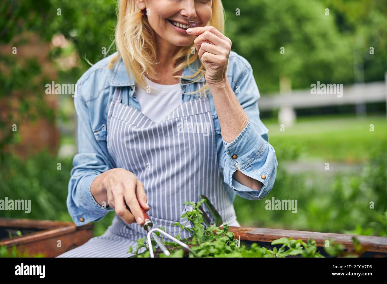 Rastrello A Mano Per Giardino 320mm Con Testa In Acciaio Carbonio E Manico Legno - 2