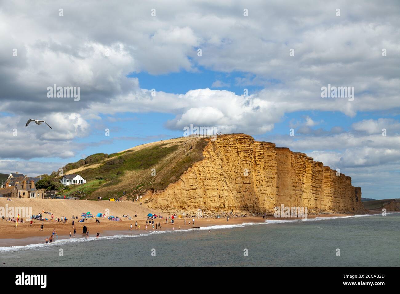 La spiaggia e le scogliere a West Bay Dorset, durante l'estate 2020 Foto Stock
