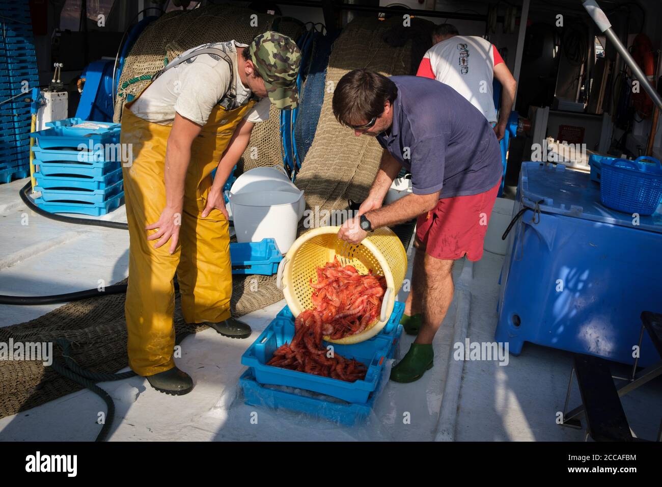 I pescatori si prepara a scaricare il pescato di gamberi freschi sulla banchina del porto di Palamós. Costa Brava. Catalogna. Spagna. Foto Stock