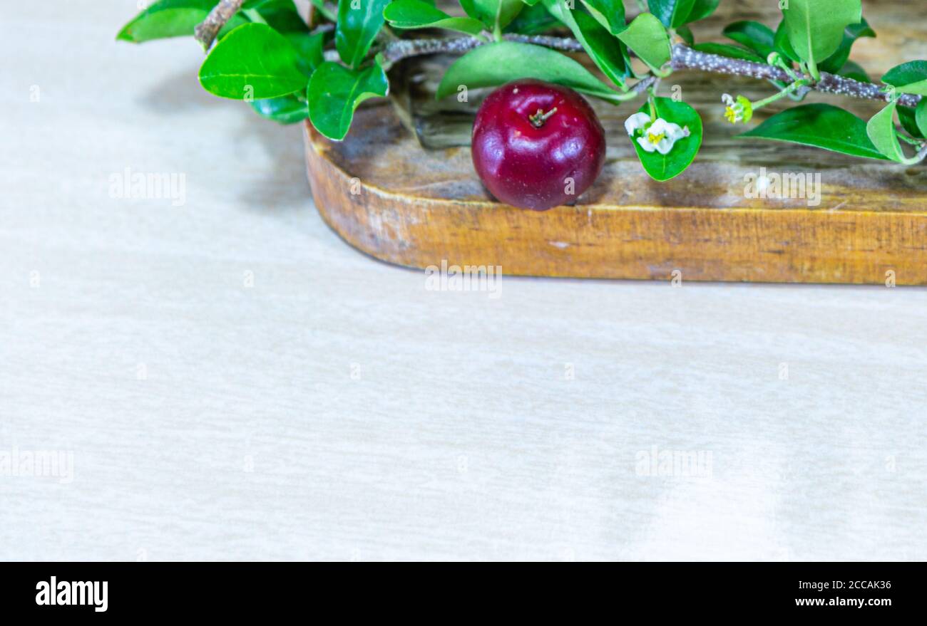 Acerola isolata. Acerola è un arbusto della famiglia malfigiacea. Il frutto si trova in un albero chiamato aceroleira. Originario delle Antille, CEN Foto Stock